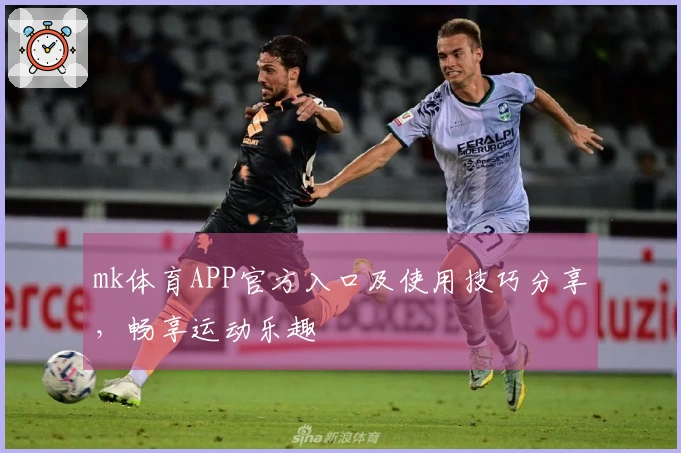 mk体育APP官方入口及使用技巧分享,畅享运动乐趣