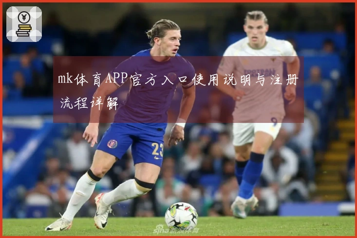 mk体育APP官方入口使用说明与注册流程详解